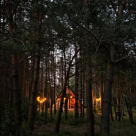 Paprotka Dom I * Kielpiny