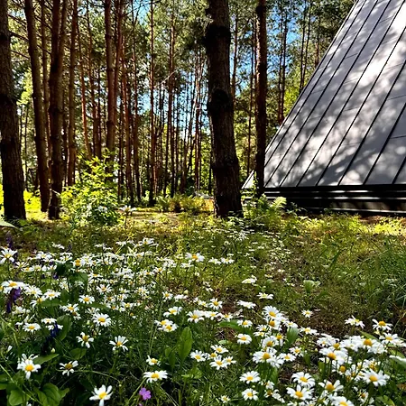 Villa Paprotka Dom I Kielpiny