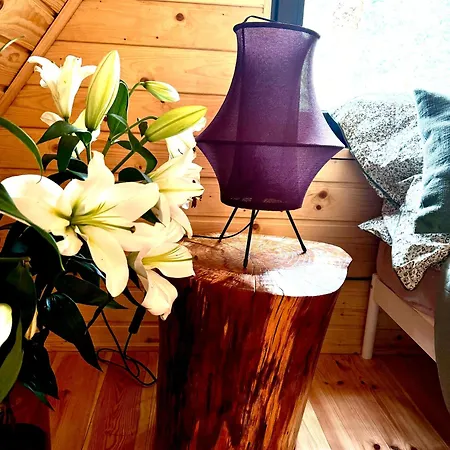 Paprotka Dom I Villa